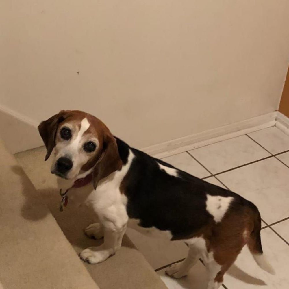 Meet your Posher, Robyn